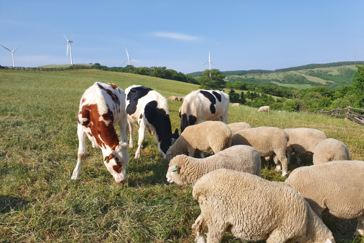 江陵人氣美食朝聖兩天一夜團