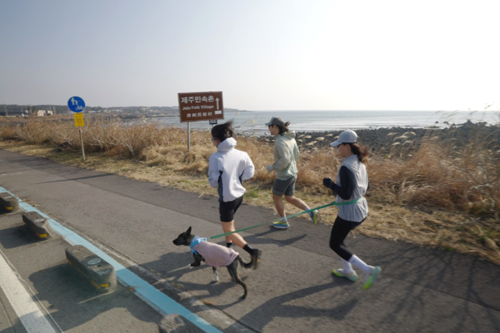 2026 SONO RUN TRIP 180K 濟州島