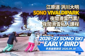 洪川大明 SONO VIVALDIPARK 夜間滑雪門票/夜間滑雪私人課程