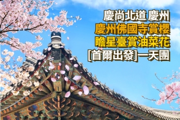 [首爾出發] 慶州佛國寺賞櫻油菜花一天團